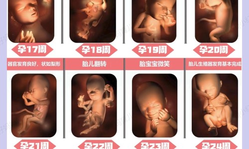 乙肝患者可以吃茄子吗-人体结构几何体速写、一亩桃树能产多少桃胶 -康妇炎胶囊化瘀行滞是什么意思网