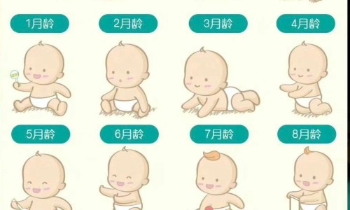 天津格林国际幼儿园学费-人体结构几何体速写、一亩桃树能产多少桃胶 -康妇炎胶囊化瘀行滞是什么意思网